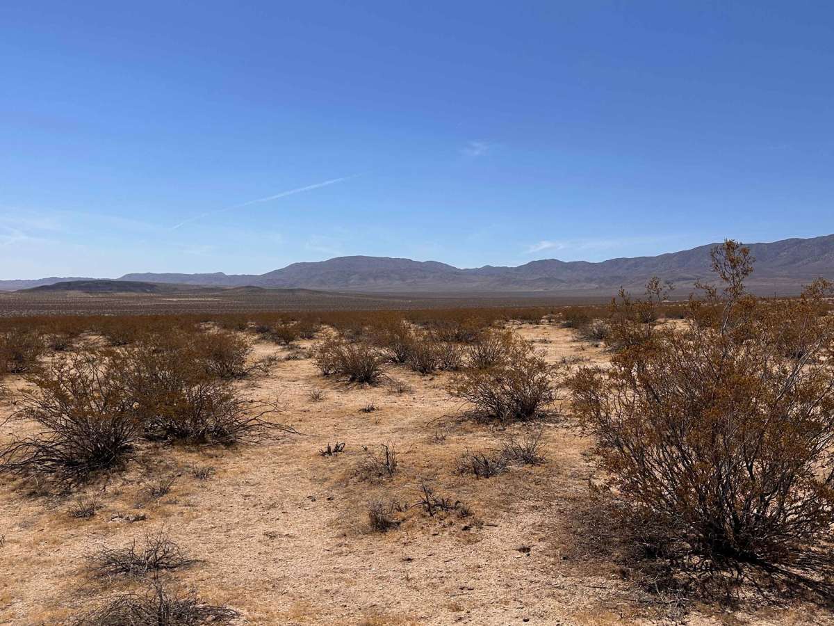 Burro Flats photo 5