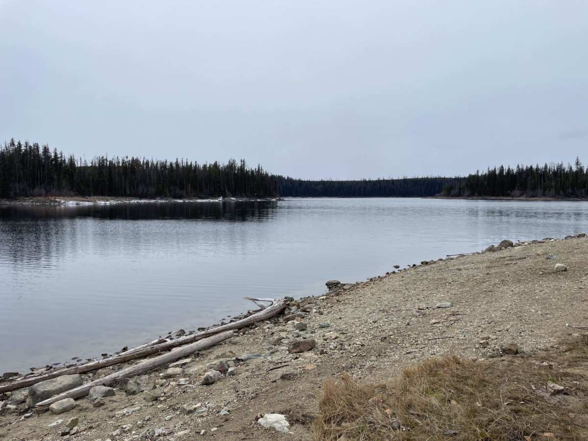 Nicklen Lake trail photo