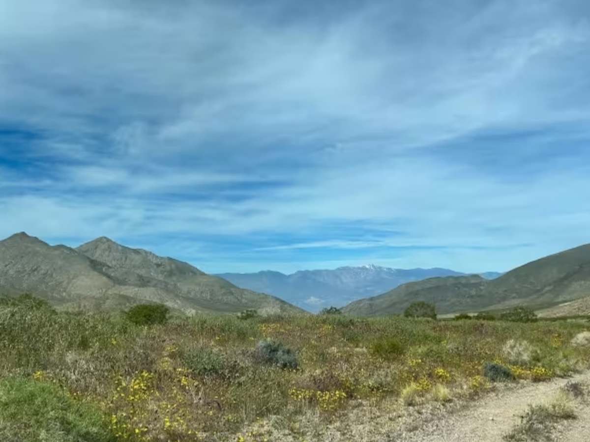 Gold Valley Road - Willow Spring Spur photo 2