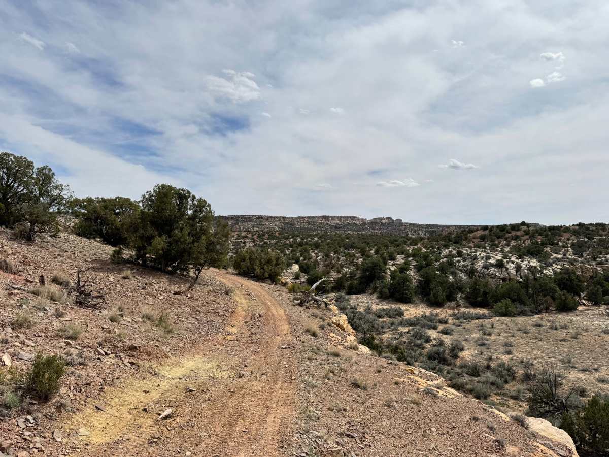 Pack Saddle Flats photo 2