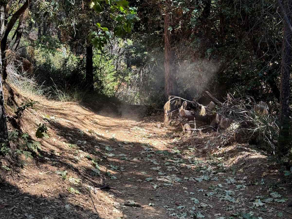 Trail 6 (12E50)   photo 4
