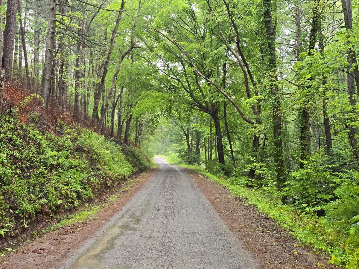 Burrell Mountain (State Road 1325) photo 3
