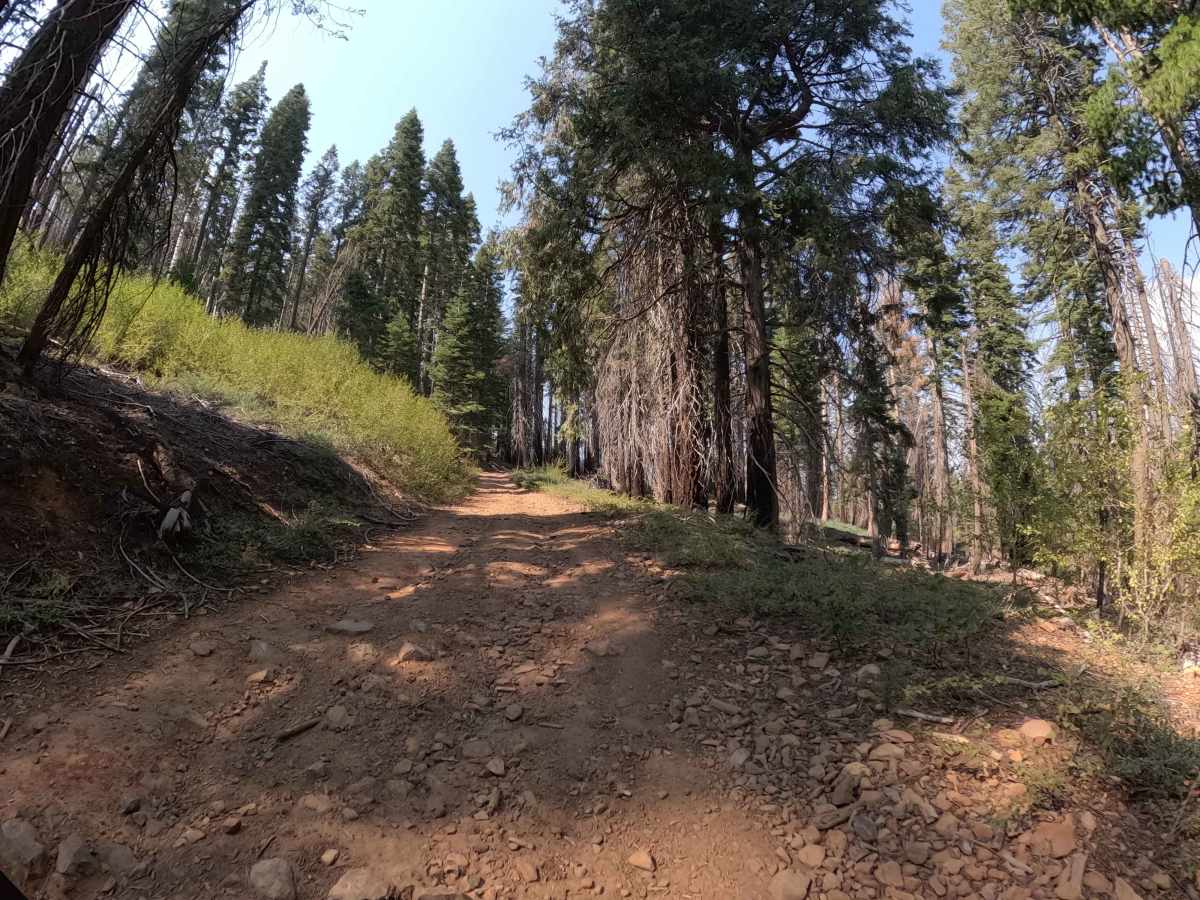 Signal Peak - FS 4S031A photo 6