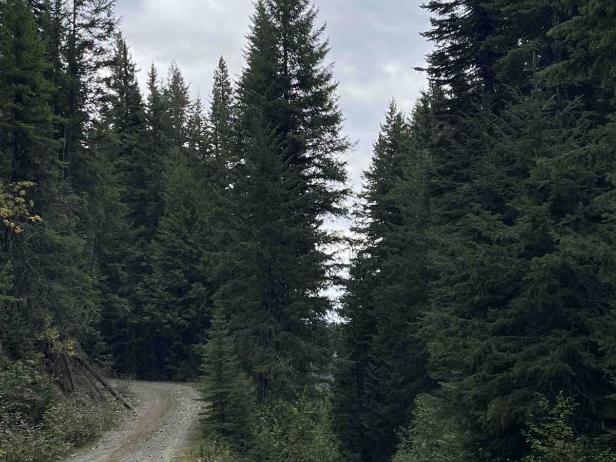 Old Monashee Highway photo 2