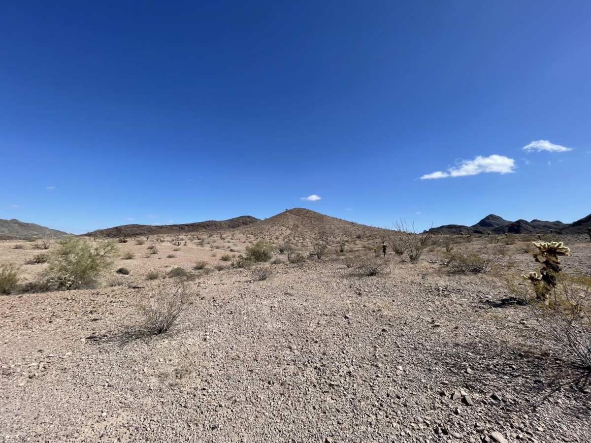 WWII Woman's Flight Marker Spur Trail for AZ Peace Trail photo 5