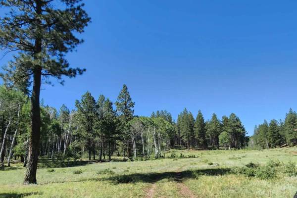 Beaver Point Road