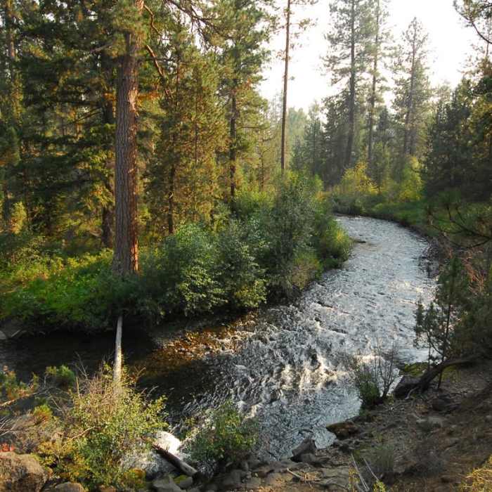 Near Shevlin Park, Aspen Hall Trail