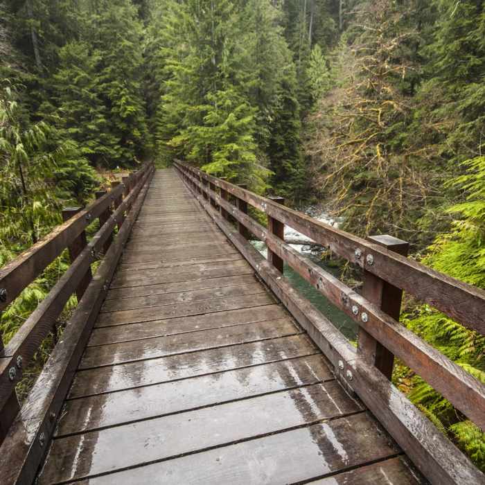 Near Enchanted Valley Trail to Pony Bridge