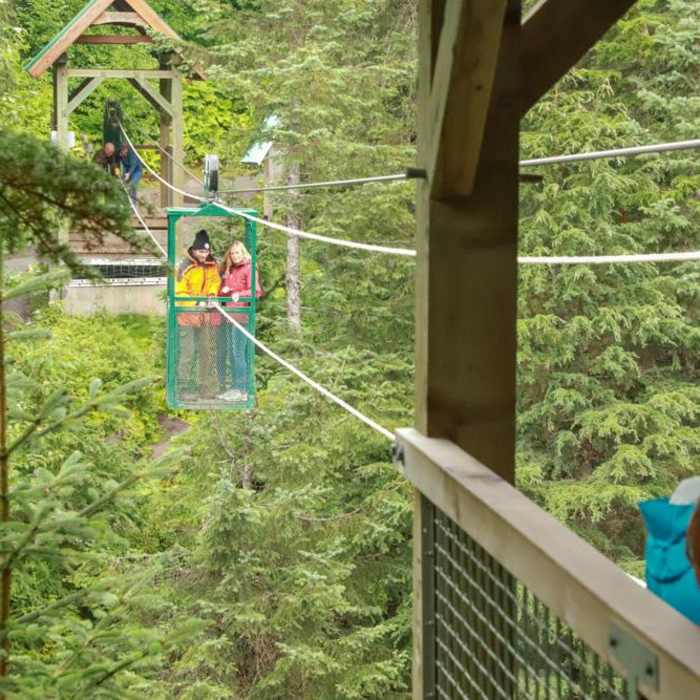 Near Winner Creek Trail