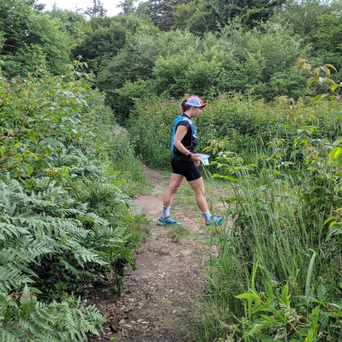 Keep heading straight to stay on the loop. Turning right takes you North on Art Loeb. Near Art Loeb Trail