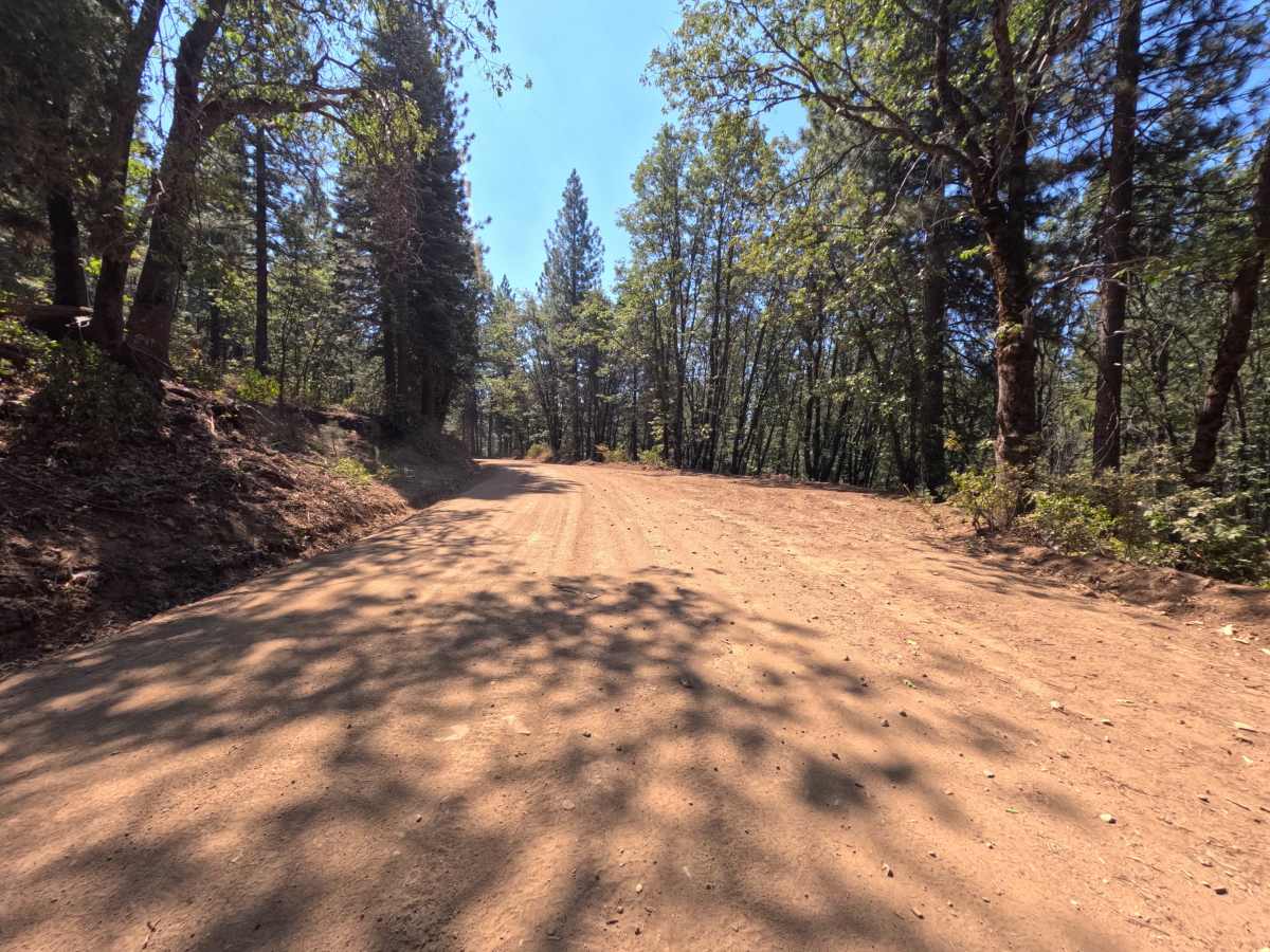 Moores Flat Road trail photo