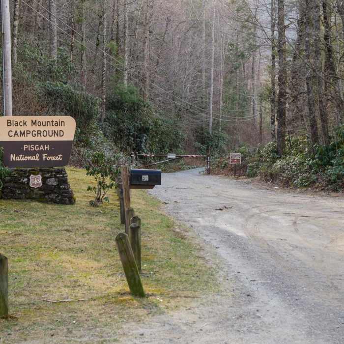 Near Mount Mitchell via Black Mountain Campground Near Mount Mitchell via Black Mountain Campground