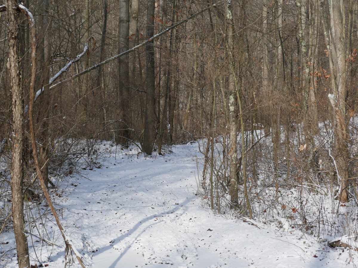 Trail 30  photo 3