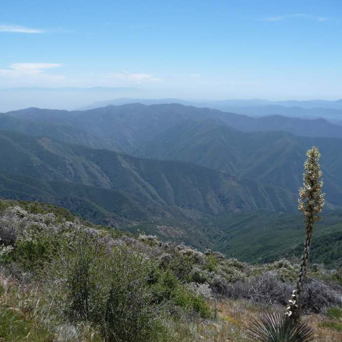 Santiago Peak view Near North Main Divide Road