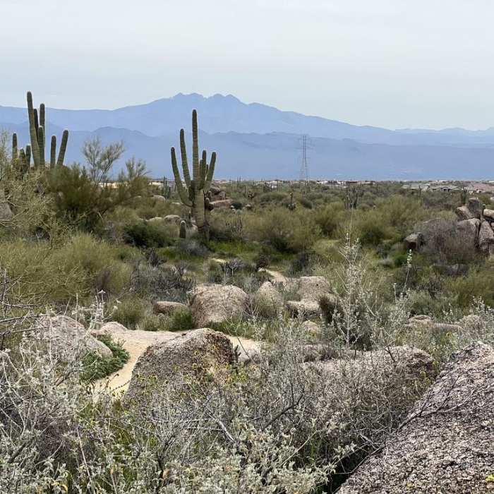 Near Granite Mountain Loop