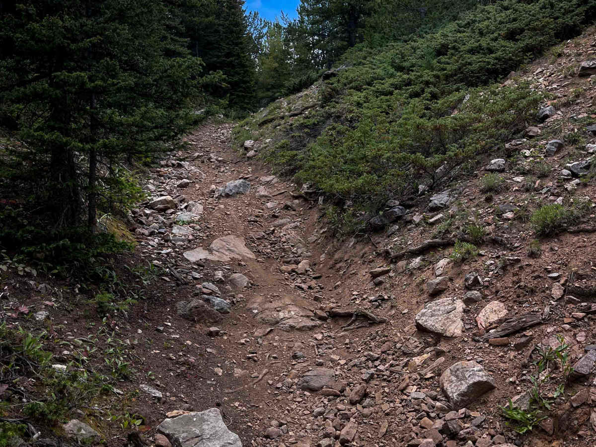 Sheep Mountain Trail #691  photo 4