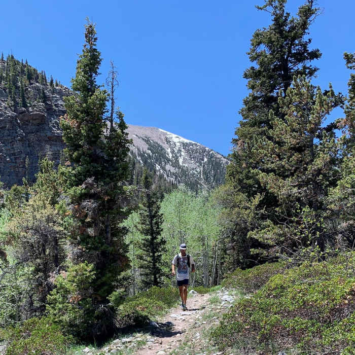 Near Timber Creek Trail Loop