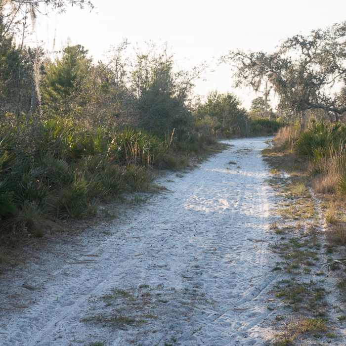 Near Gopher Trail and Persimmon Loop