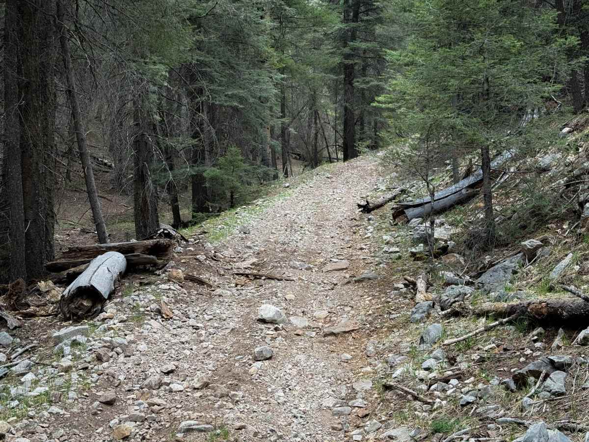 Schofield Canyon Trail - FS 5007A photo 4