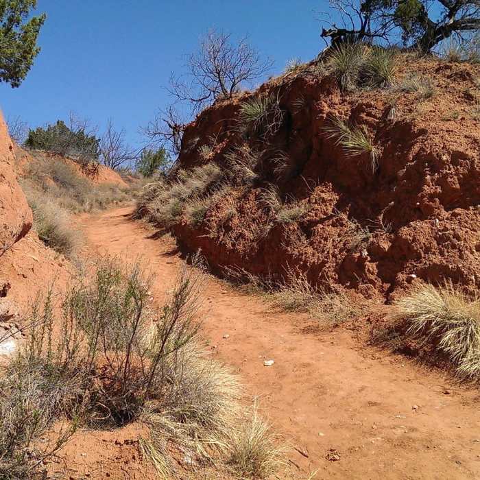 Near Eagle Point Trail