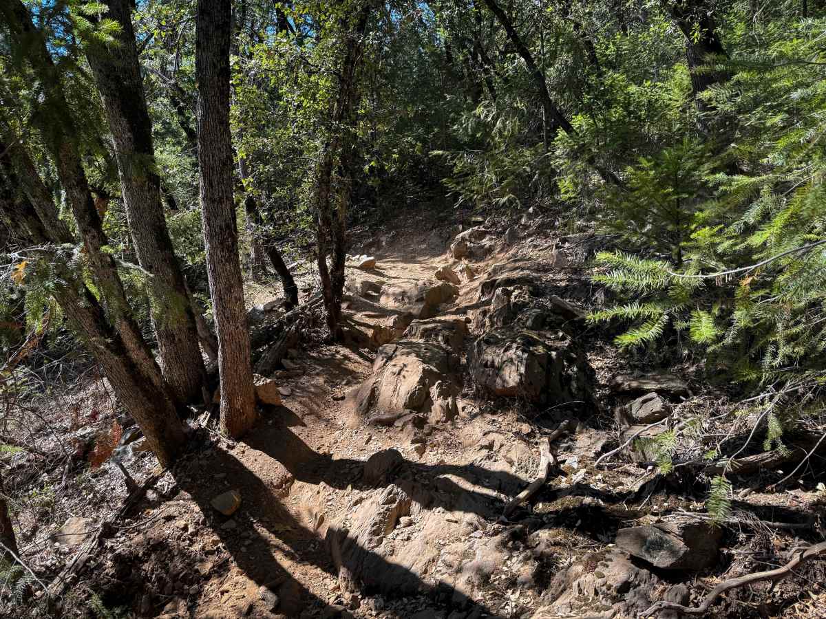 Trail 6-1 (11E28)  photo 2