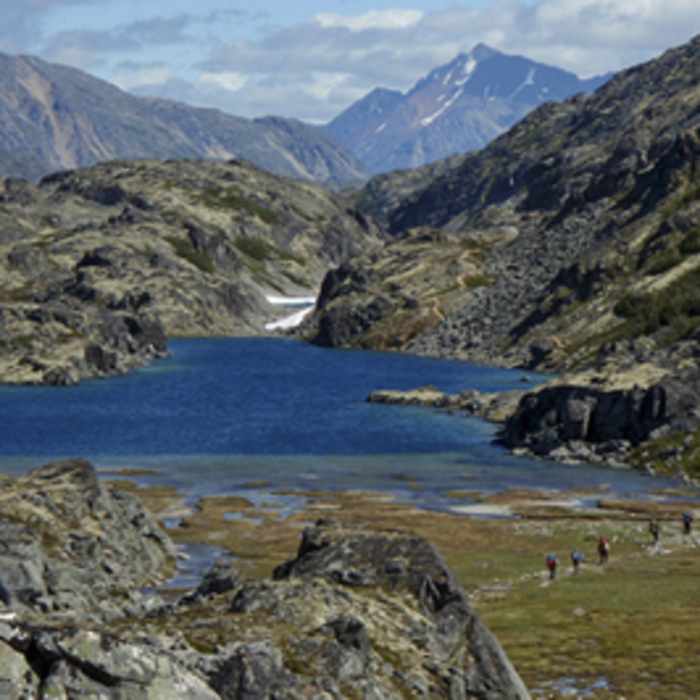 Near The Chilkoot Trail - British Columbia Near The Chilkoot Trail - British Columbia