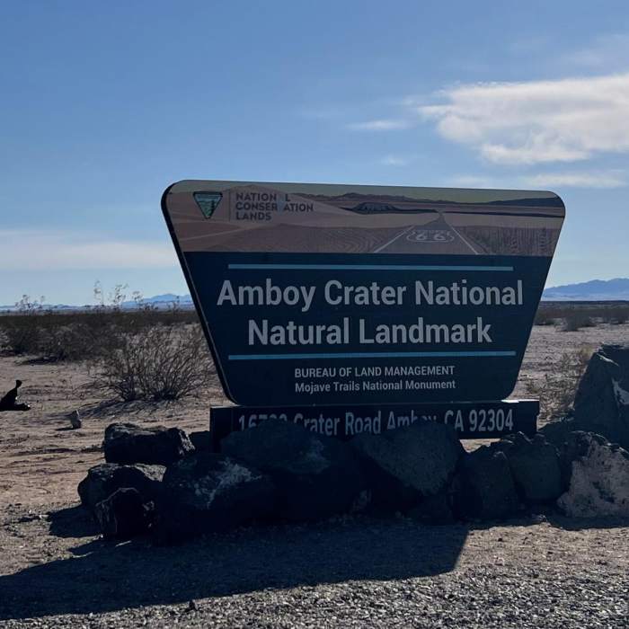 Near Amboy Crater Trail