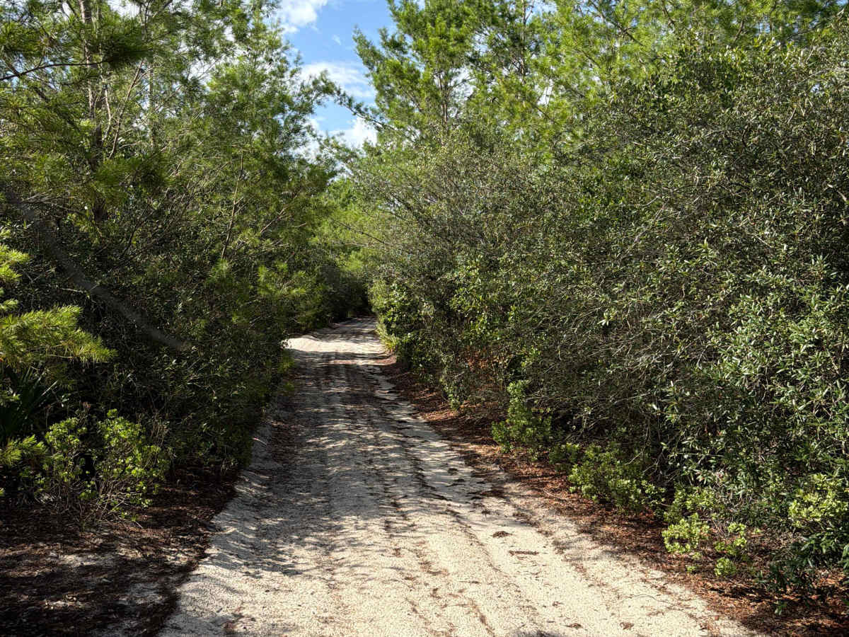 Lam Horse Trail - FS 22-2.8 photo 5