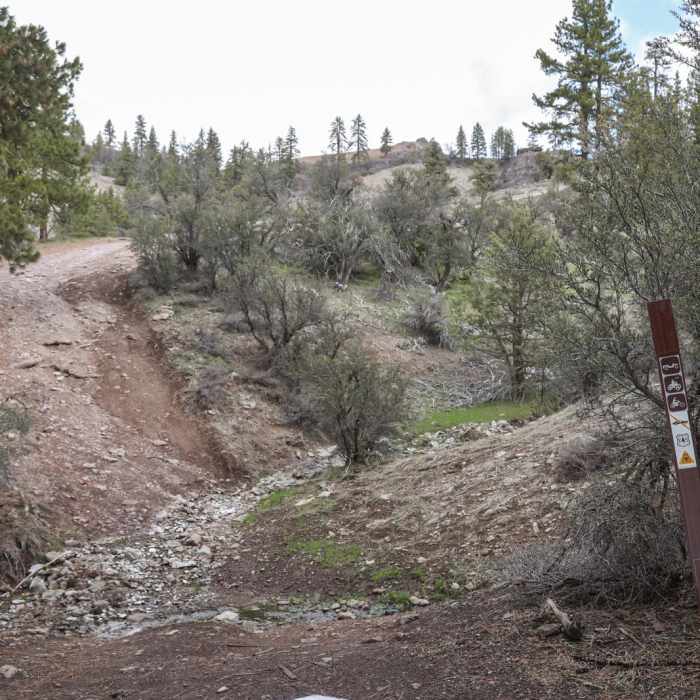 Near Portola "P" Hike