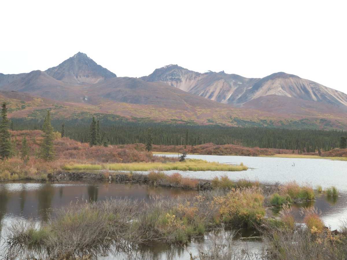 Denali Highway photo 4