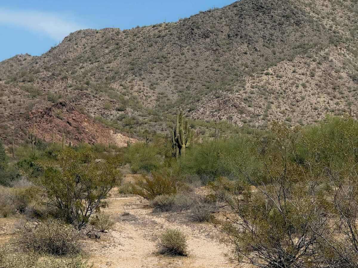 Hidden Valley Wash  photo 6