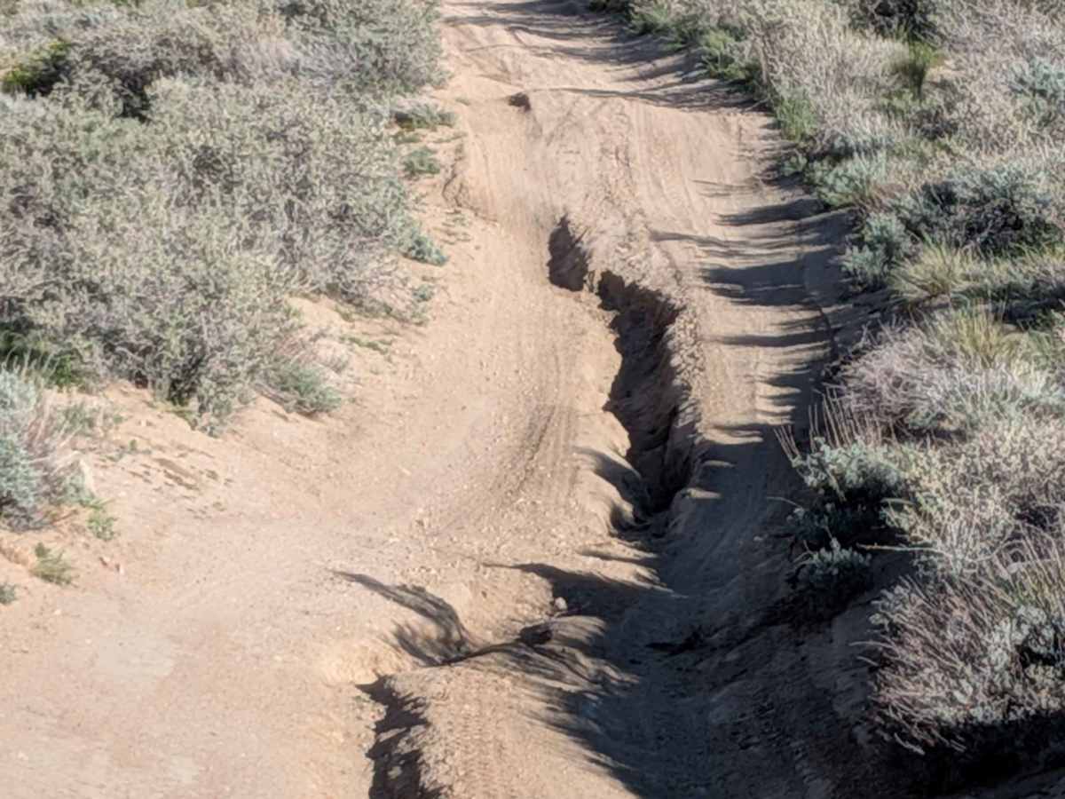 BLM SC42 photo 2
