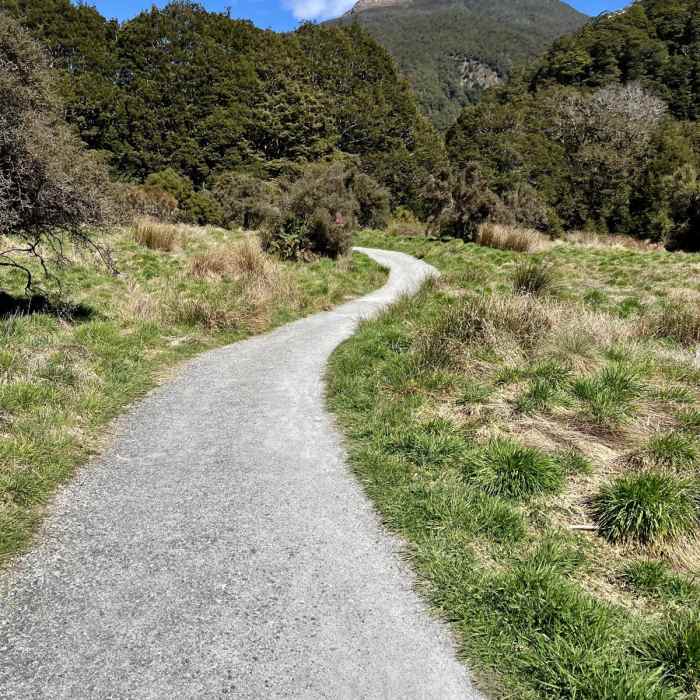 Near Blue Pools Forest Walk