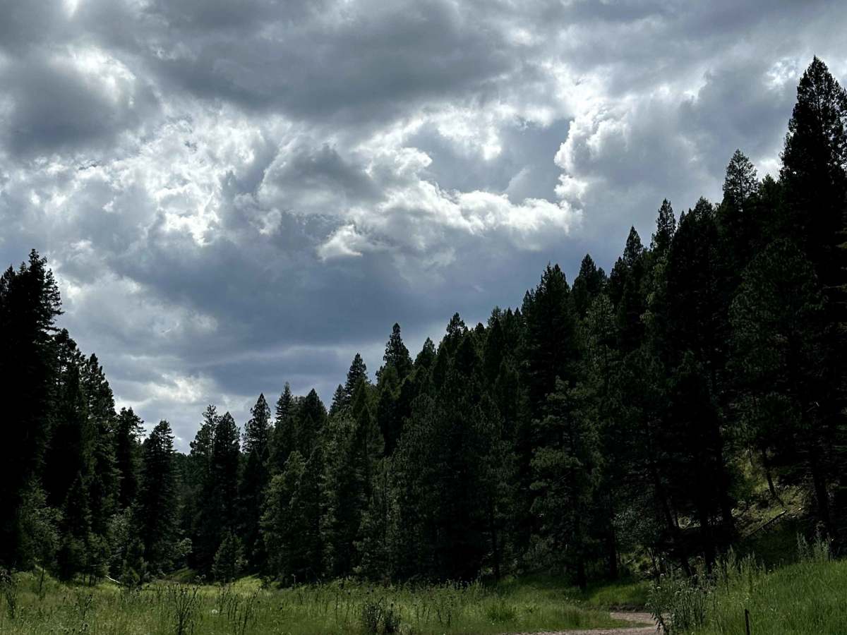 Spring Canyon photo 5