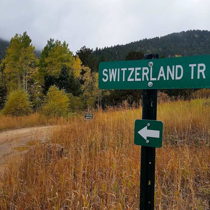 Near Todd Gulch