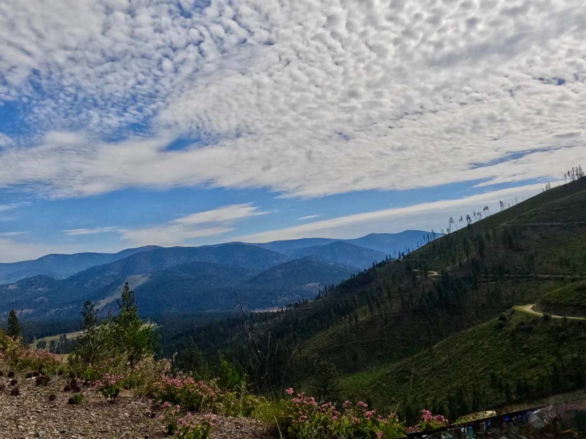 Weaver Gulch Trail photo 6