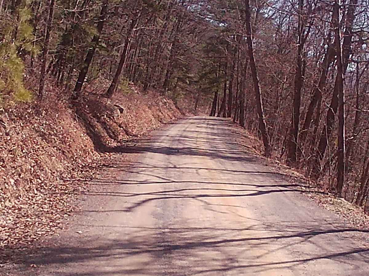 Fox Road photo 4