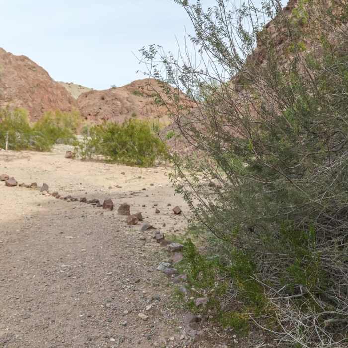 Near Wayne's Way Trail