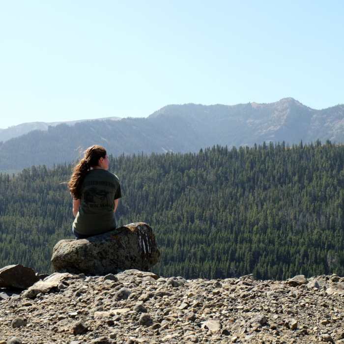 Near Gallatin Petrified Forest