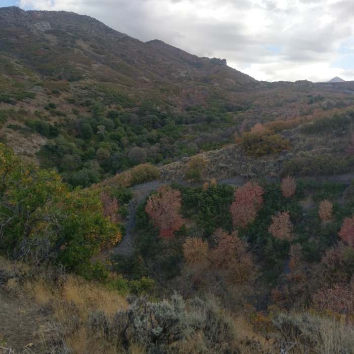 Fall colors in the canyon Near Hoof 'n' Boot Trail