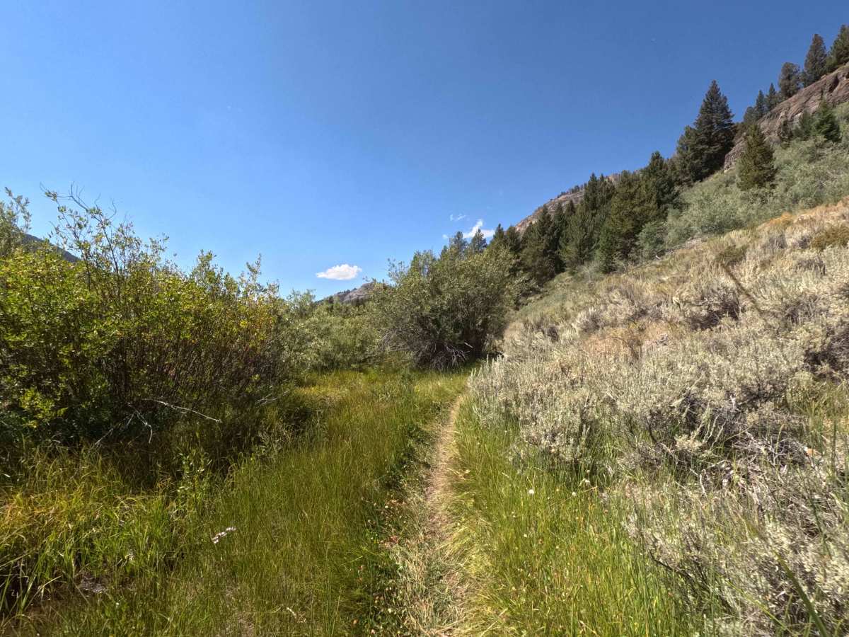 Germania Creek - FS 7111 photo 6