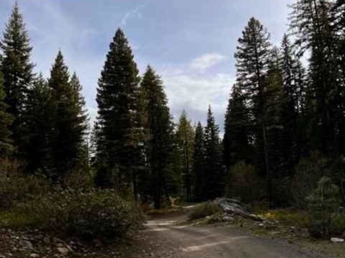 Full Creek Crossing photo 3