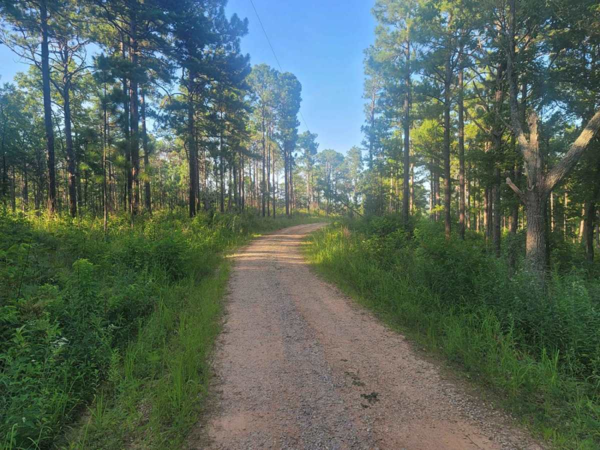 533 - Vaughn Road photo 4