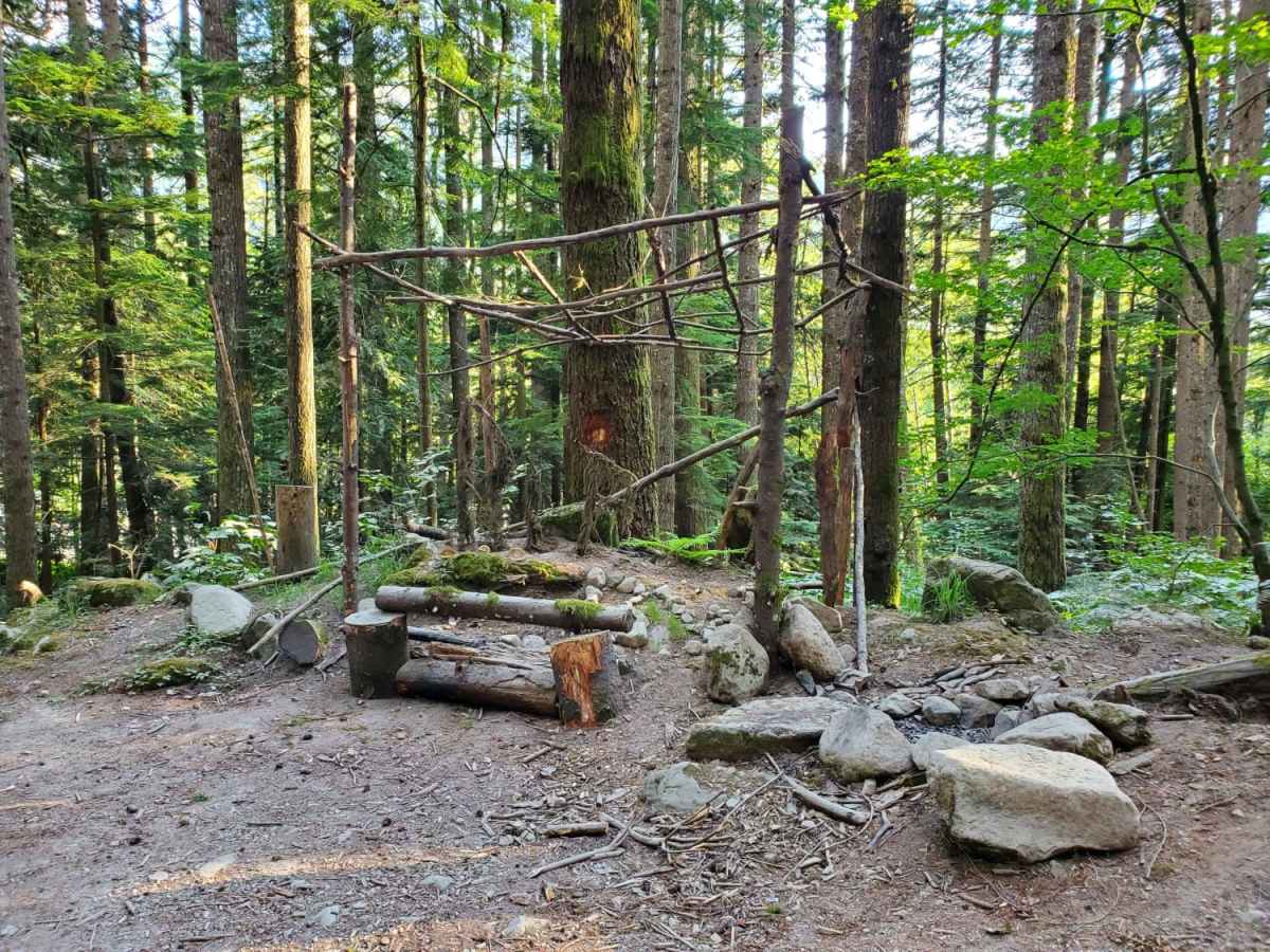 Mason Lake/Talapus Lake Trailhead photo 6