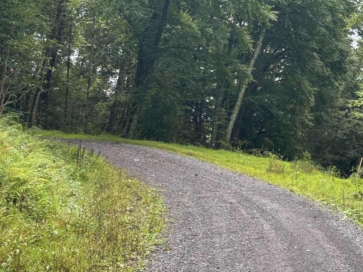 Rock Run Road photo 5