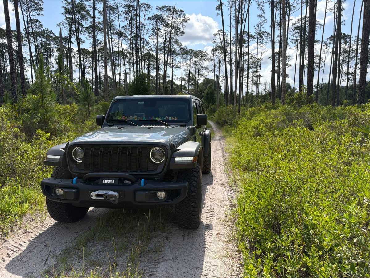 ONF 19-3.6 photo 5