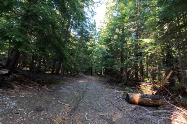 Klingers Camp Road - FS 3530240