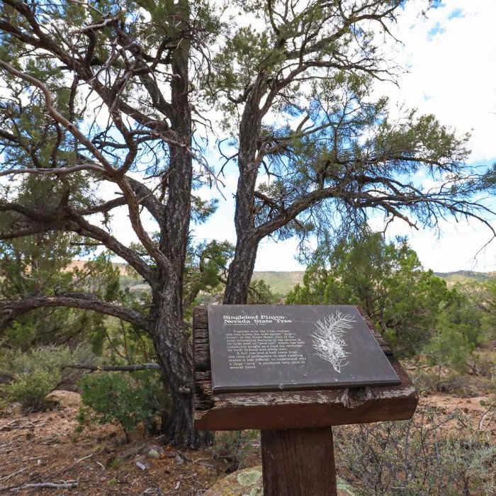 Near Beaver Dam State Park Interpretive Trail