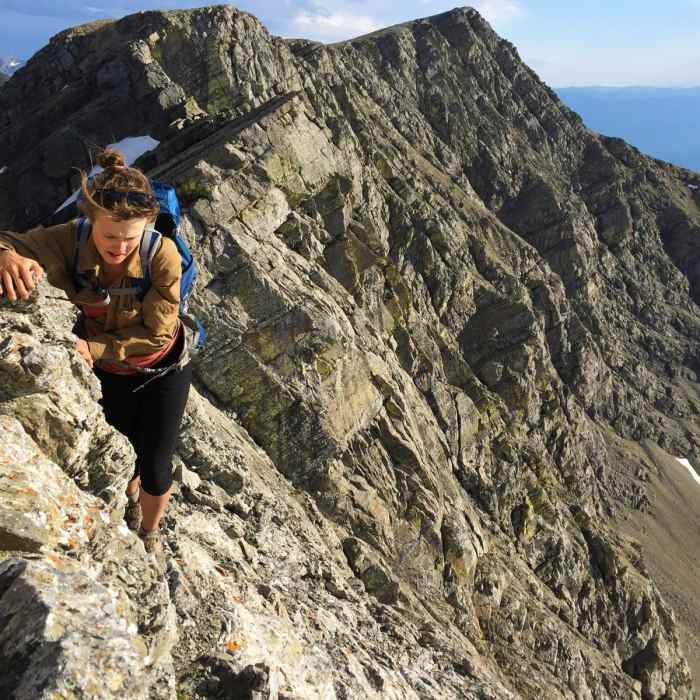 Near Holland Peak: South Ridge Route Near Holland Peak: South Ridge Route