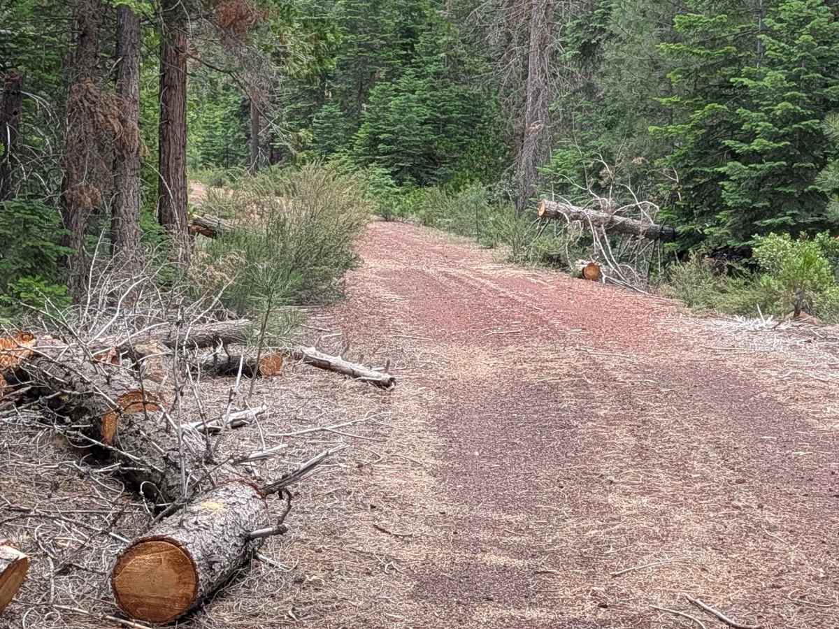 Purple Pit - FS 44N22Y trail photo